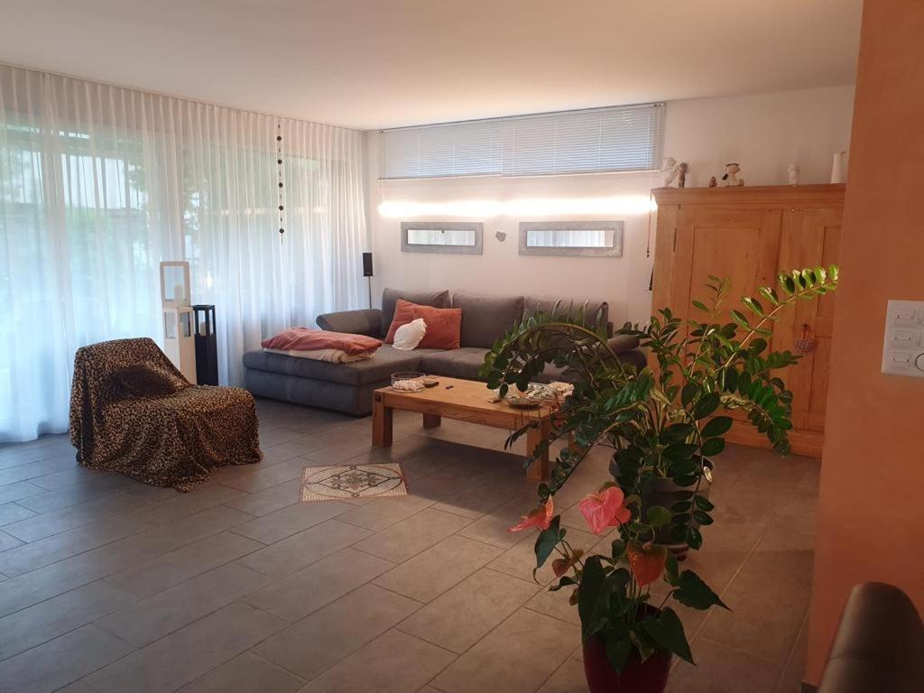Casa Nadja, Naehe Skigebiet Flims-Lax Ems Εξωτερικό φωτογραφία