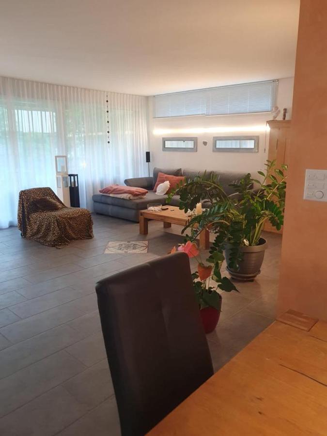 Casa Nadja, Naehe Skigebiet Flims-Lax Ems Εξωτερικό φωτογραφία